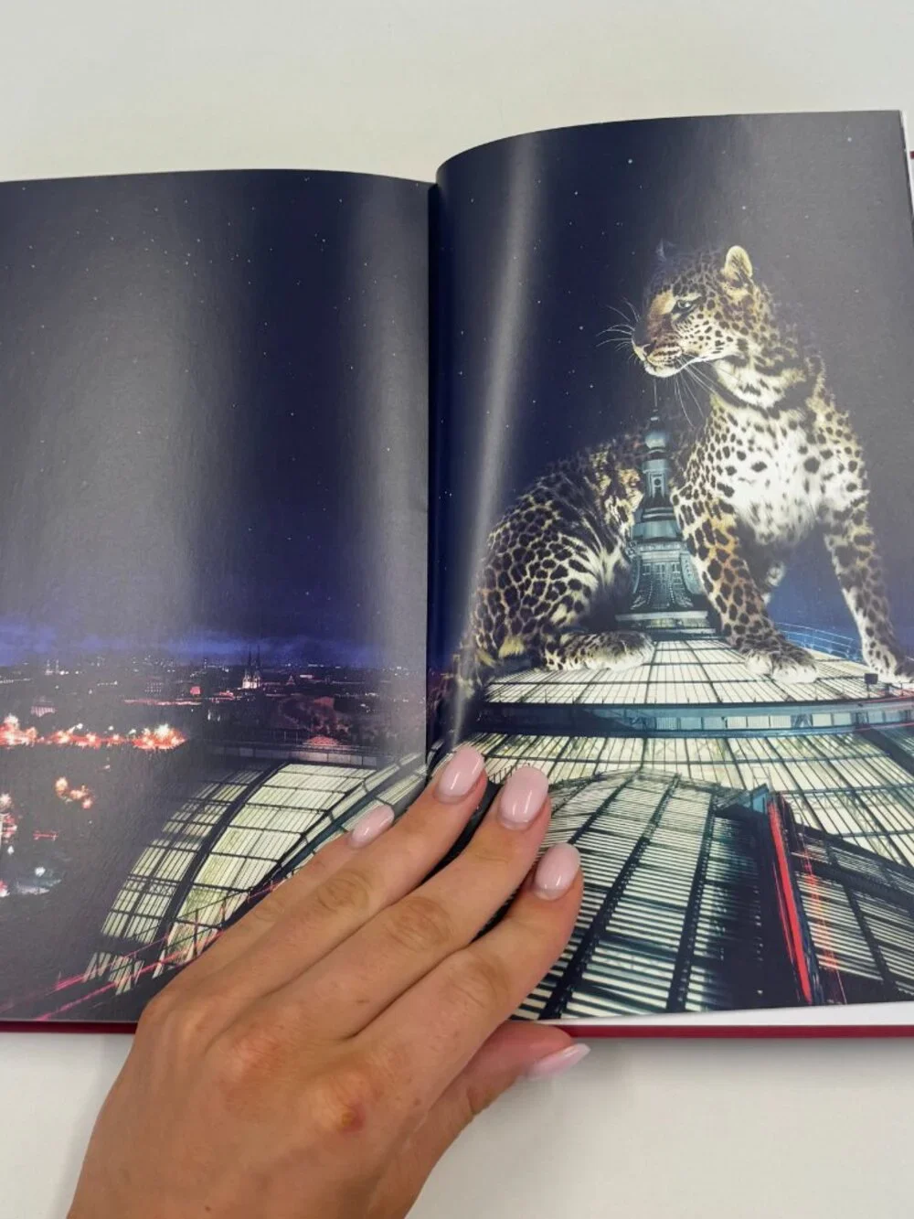 Cartier Paris Londres New York Hardcover Book w/ Slipcase Jewelry Coffee Table